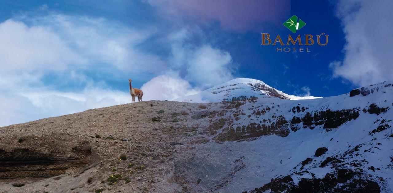 Hotel Bambu ريوبامبا المظهر الخارجي الصورة